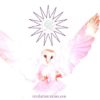 Rune Mastery Training Program ~ Mastery and Grand Mastery Programs