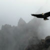 Activating the Wind Element to Establish and Manifest from the Power of the One