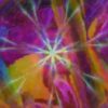Spine / Brain and Hypnosis Clearing
